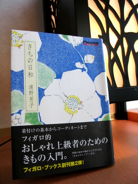 上級だけど入門_a0091095_22121478.jpg