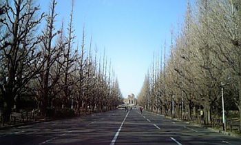 a0000002_1432517.jpg
