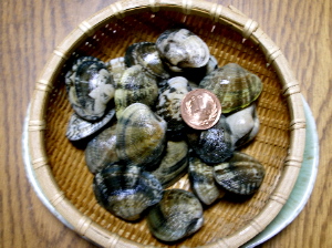 c0036203_20223411.jpg