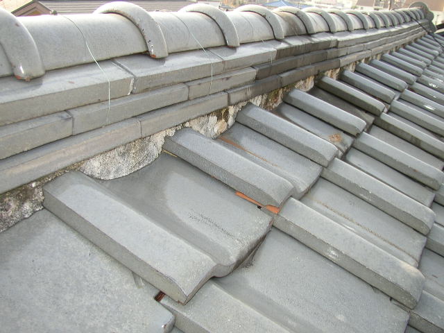 b0099212_804881.jpg