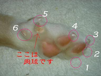 f0086814_23152332.jpg