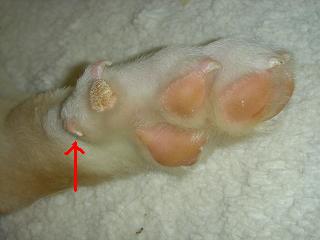 f0086814_23175272.jpg
