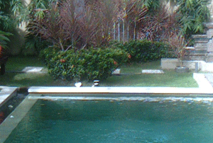 d0038319_15383696.gif