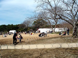 春の後楽園祭_c0044523_2084044.jpg