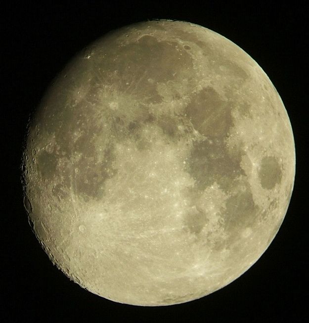 e0089232_2045980.jpg
