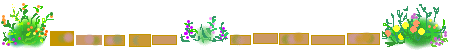 c0080839_1321323.gif