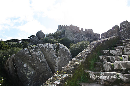 ムーアの城跡　ポルトガルの旅 Vol.5_c0024345_8163262.jpg