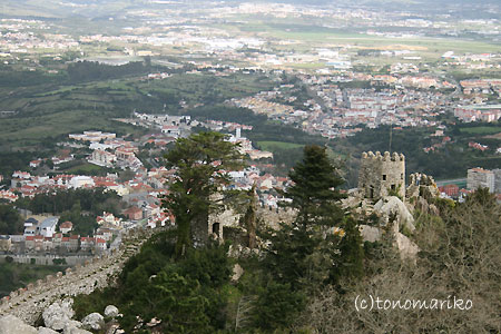ムーアの城跡　ポルトガルの旅 Vol.5_c0024345_8164915.jpg