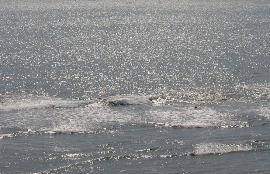 c0112479_2293646.jpg