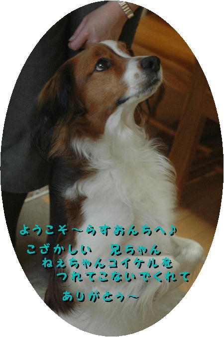 c0075585_63878.jpg