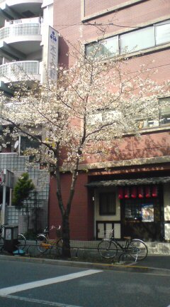 f0019993_1421848.jpg