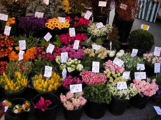 f0038407_7304291.jpg