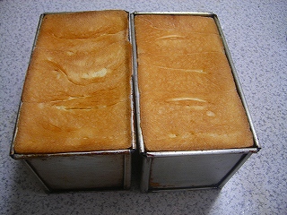 f0079111_1651281.jpg