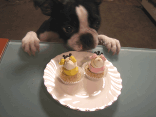 e0080117_2071040.gif