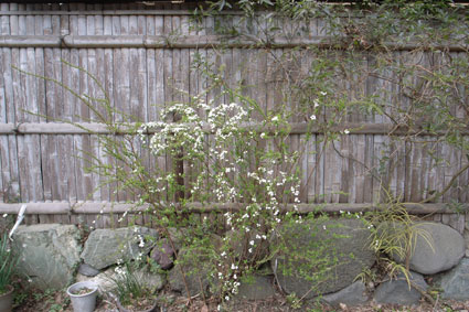 f0067724_21594331.jpg