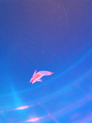 f0031535_19521448.jpg