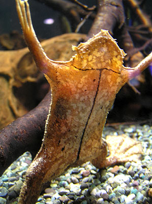 f0031535_2031973.jpg