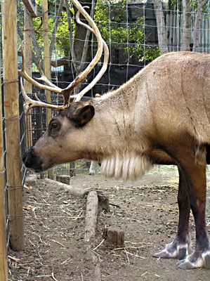 f0031535_2061066.jpg