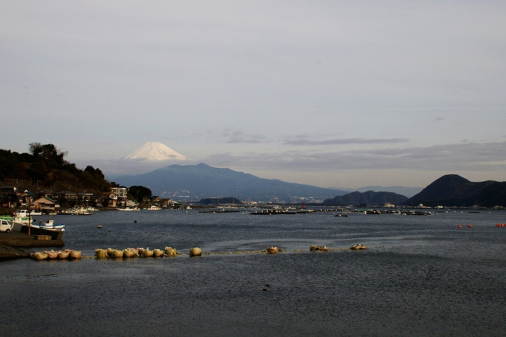 東伊豆の河津から沼津の西浦へ_e0000746_2121527.jpg