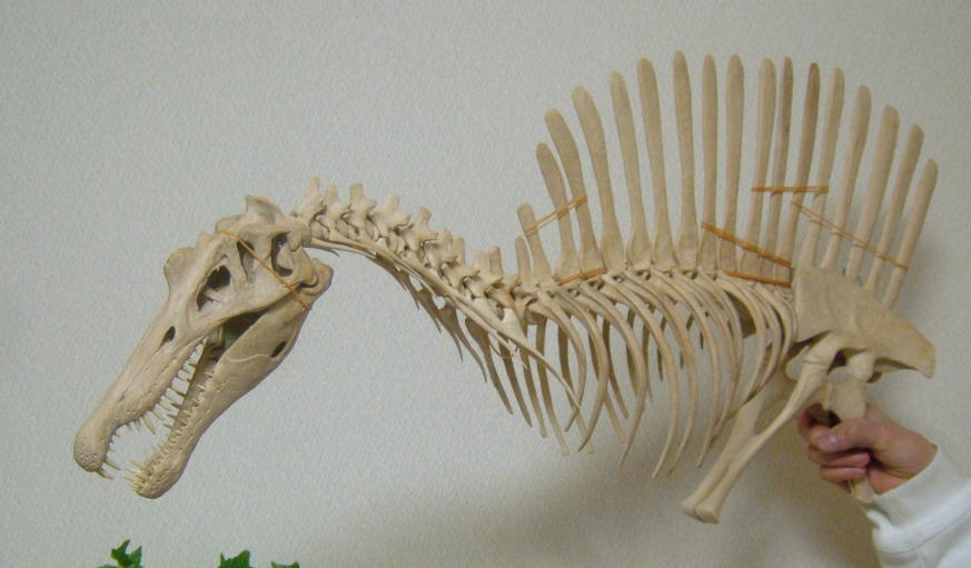e0064457_2353553.jpg