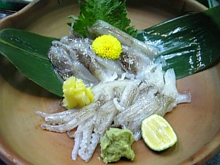 c0023170_8294183.jpg