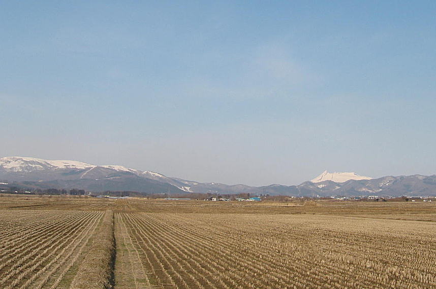 c0112479_7156.jpg