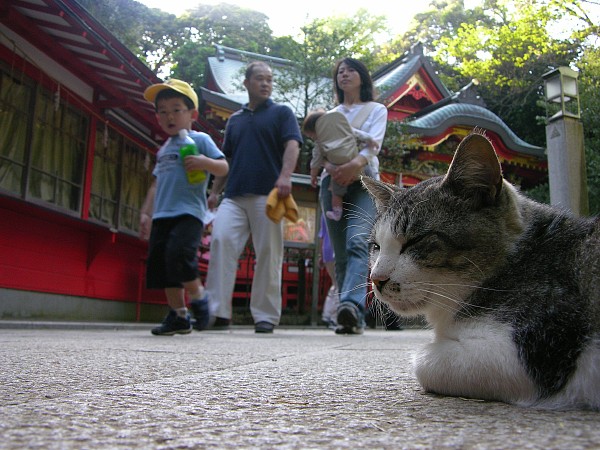 明日から_c0109780_1091933.jpg