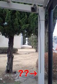 b0052195_205233100.jpg