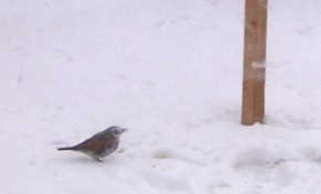 f0032403_23181990.jpg