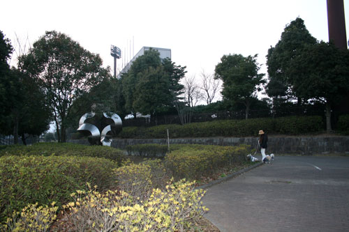 はやさき桜祭り・・・ハーブ園_c0011204_23545795.jpg