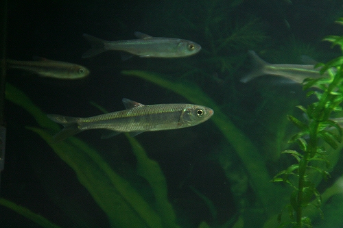 f0034007_23272483.jpg