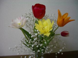 b0060609_22433463.jpg