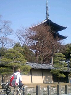 春ですね_f0126121_12515125.jpg