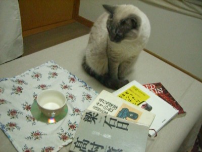 母さんと図書館の良い関係_c0006826_20105833.jpg