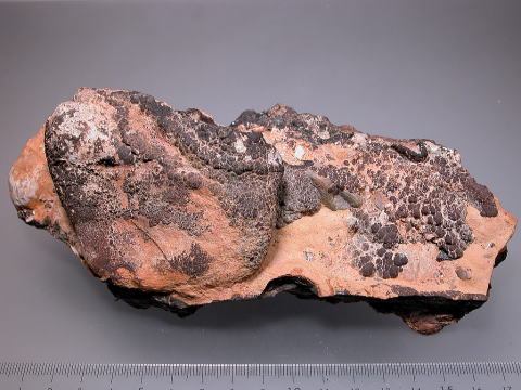 d0045626_2135343.jpg