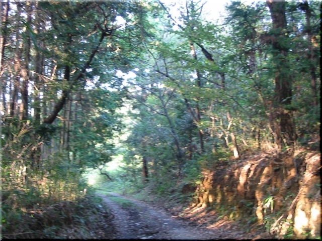 d0092026_18184212.jpg