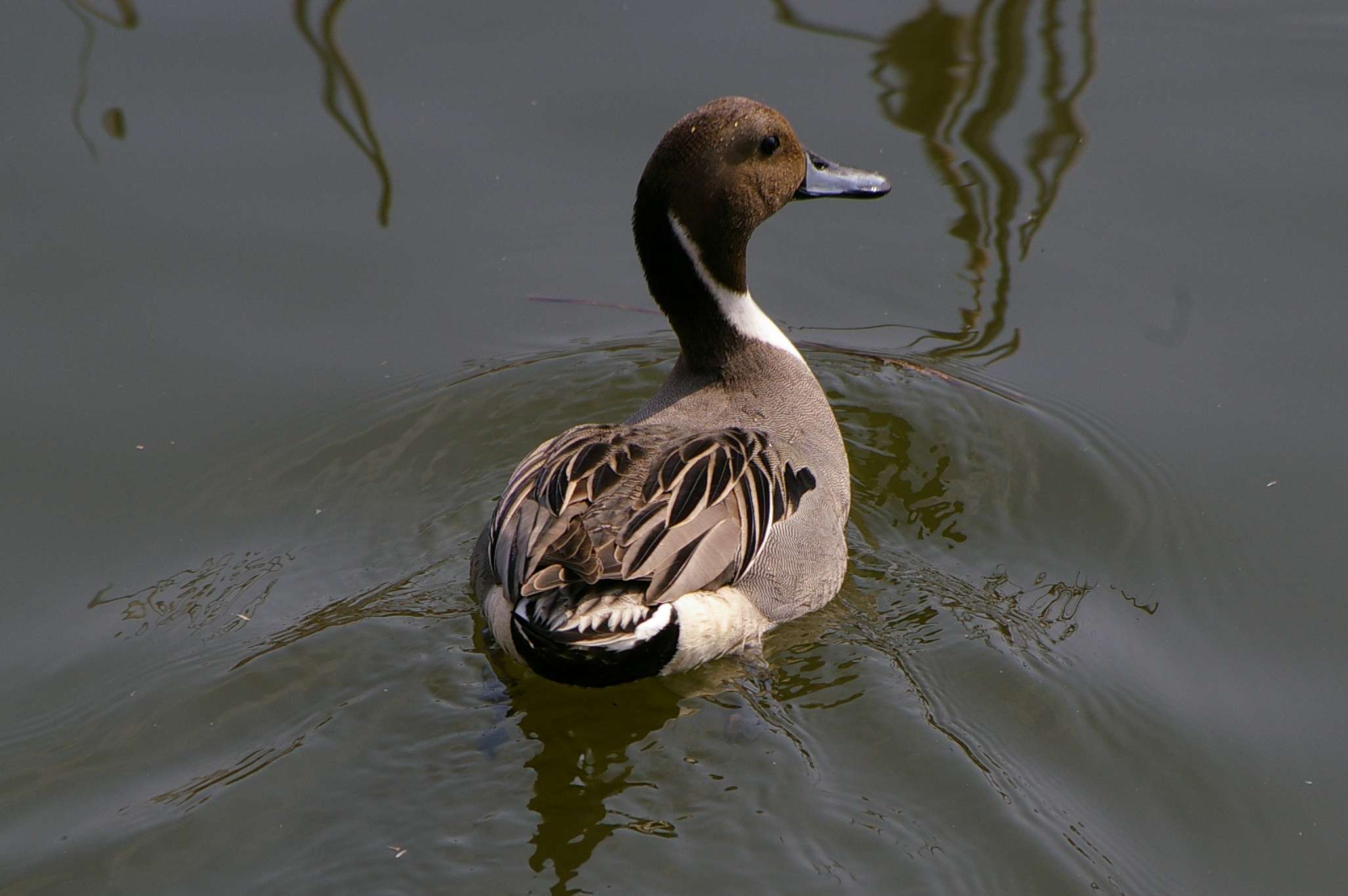 b0069128_169380.jpg