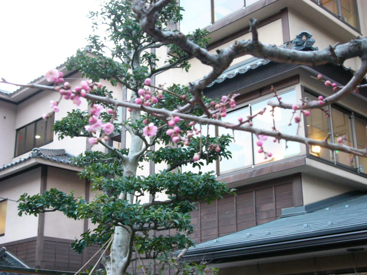 a0040929_16505552.jpg