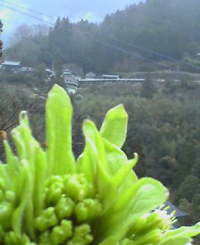 c0089831_13561653.jpg