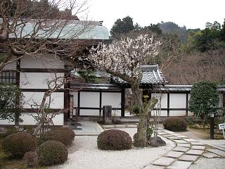 圓光寺～下鴨神社　2007年3月3日_e0054739_1930087.jpg