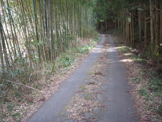 e0110940_2029713.jpg