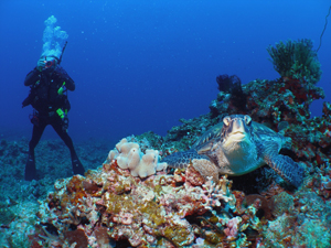 d0065247_22501615.jpg