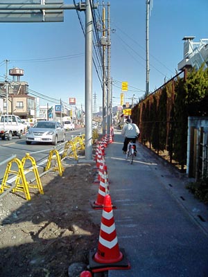 街路樹が無惨に伐られた国道１４９号線_b0002151_23575628.jpg