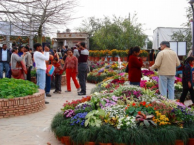 f0013251_2148849.jpg