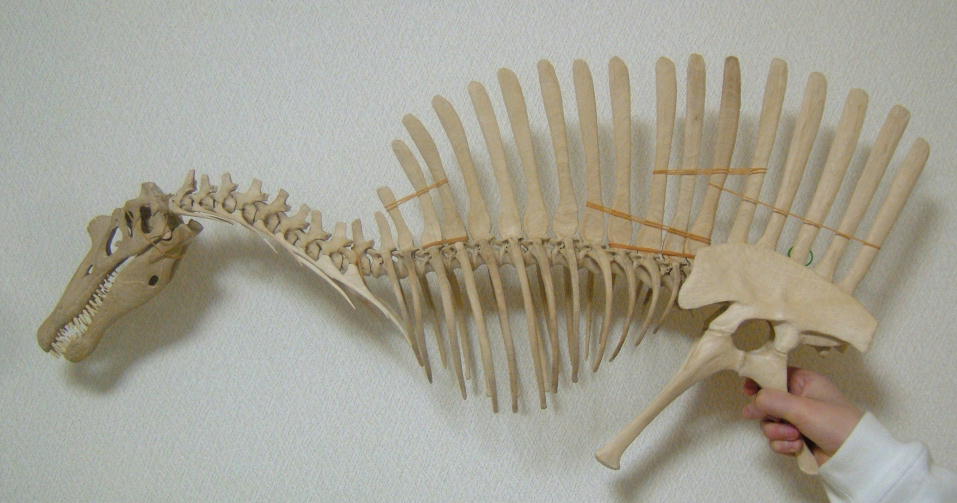 e0064457_23525154.jpg