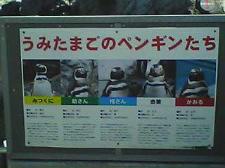 うみたまご訪問_d0069964_23294284.jpg