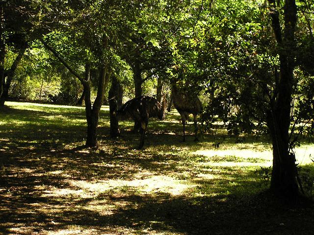 c0103368_78253.jpg