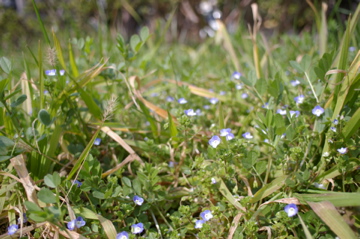 e0095468_15343192.jpg