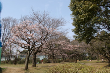 e0095468_15354562.jpg