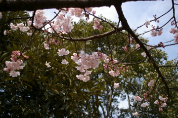 e0095468_15394627.jpg